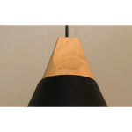 20021-1 1XE27 Hanging Light