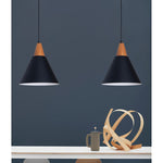 20022-1BK 1XE27 Hanging Light