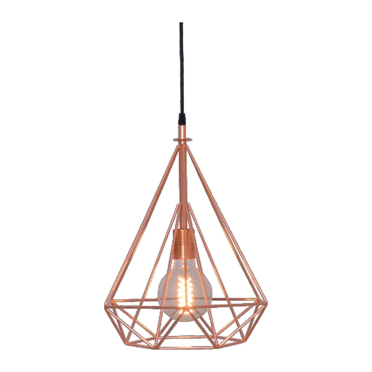 2017-1COP 1 XE27 Hanging Light