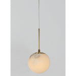 2031-1 1XG9 Hanging Light