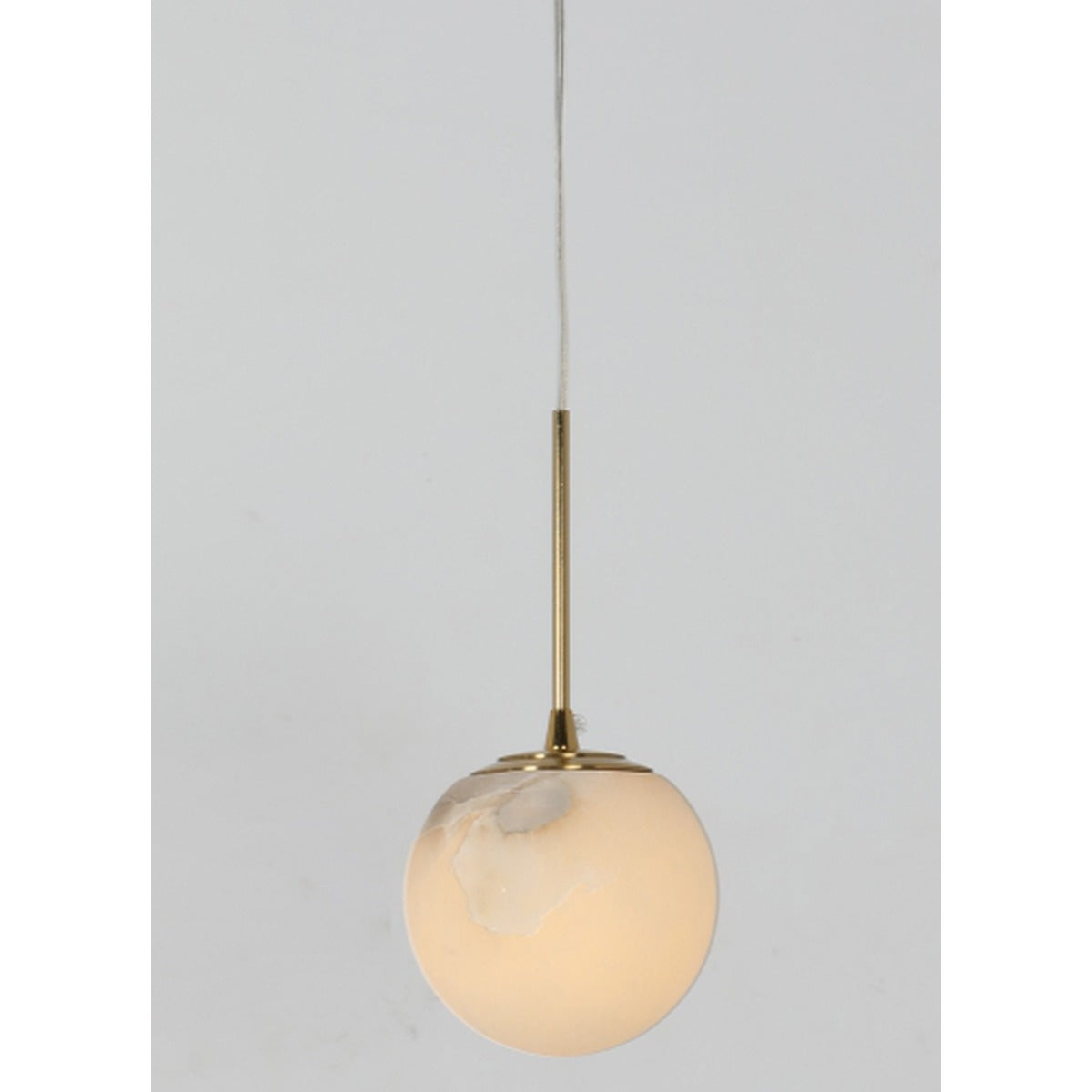 2031-1 1XG9 Hanging Light