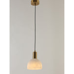 2039-H 1XE14 Hanging Light