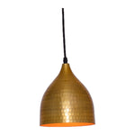 2209-AB 1XE27 Hanging Light