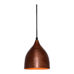 2209-AC 1XE27 Hanging Light