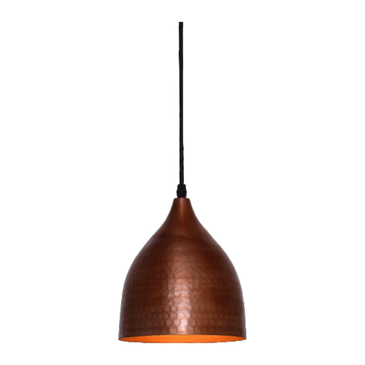 2209-AC 1XE27 Hanging Light