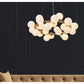 JS-GL-3001-25 - ANTIQUE BRASS METAL Glass Ball Chandelier