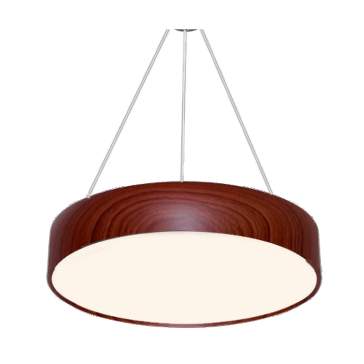 3880-450DW LED Hanging Light