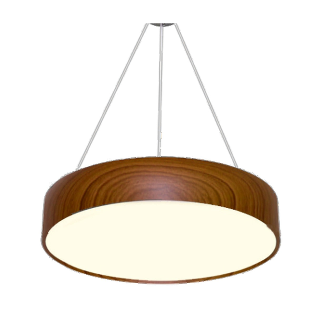 3880-450LW LED Hanging Light