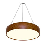 3880-450LW LED Hanging Light