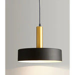 4602-1 1XE27 Hanging Light