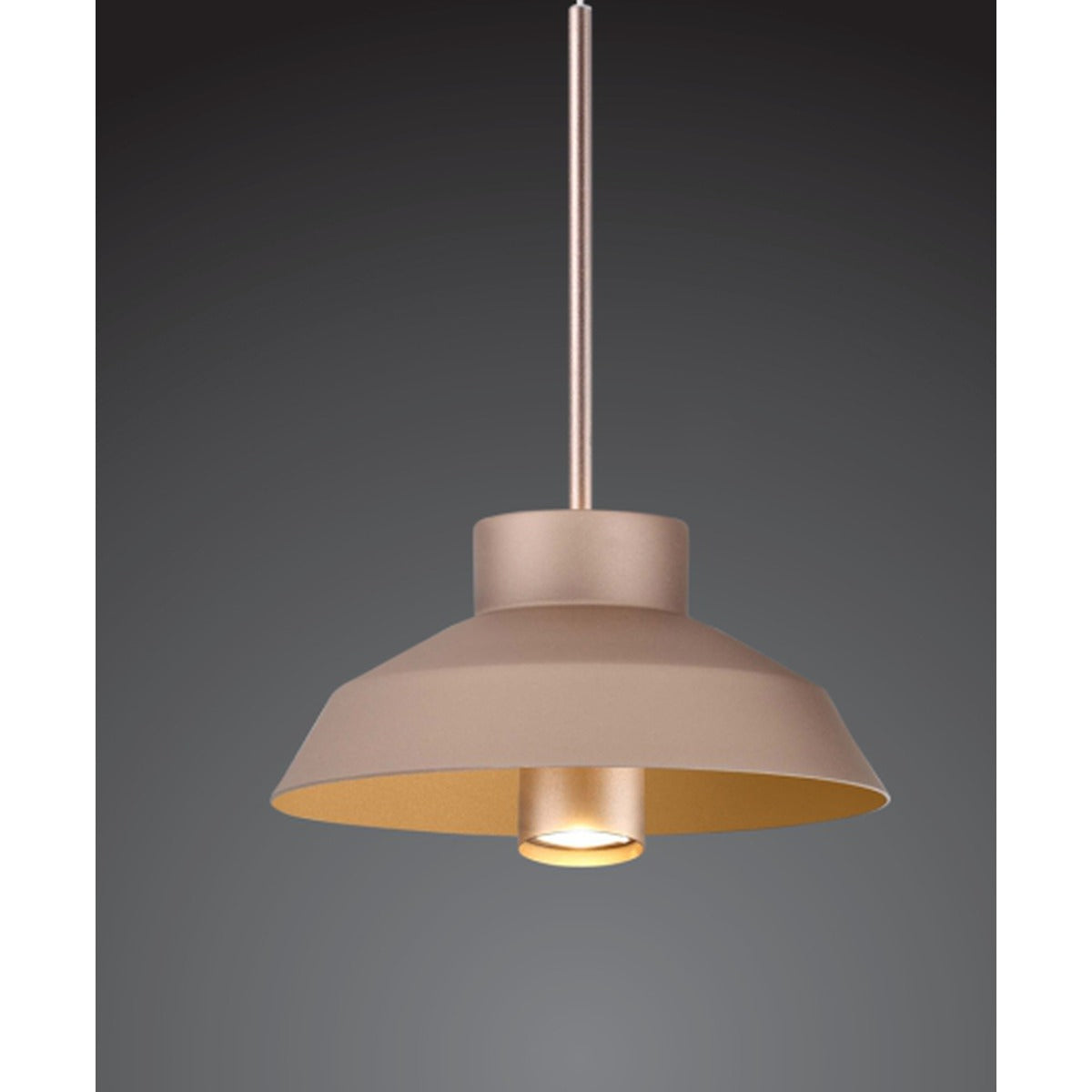 51501-PA LED9W Hanging Light