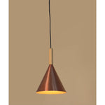 6886-1AC 1XE27 Hanging Light