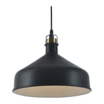 8049-1BK HL 1XE27 Hanging Light