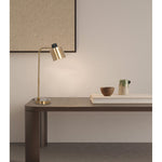 8596-F-AB 1XE27 Hanging Light