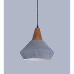 FY036-CX 1XE27 Hanging Light