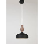 FY06 LED 24W Hanging Light
