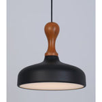 FY 043 LED Hanging Light