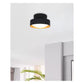 JS-GL-0063C-S - Gold & Black Metal & Acrylic Led Ceiling Light