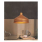 JS-GL-029-1 - RUSTIC GOLD & GOLD Metal Hanging Light