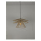 JS-GL-10125-1 - Black Metal Cane Hanging Light