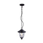JS-GL-1816C - Black Glass Metal Hanging Light