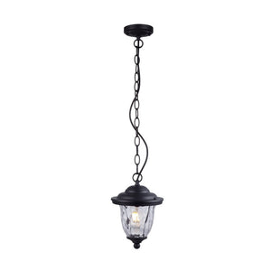 JS-GL-1816C - Black Glass Metal Hanging Light