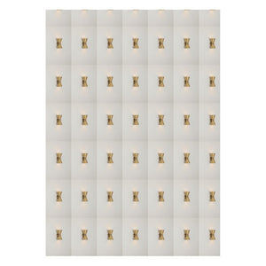 JS-GL-2068-2 - Matt Brushed Brass Metal & Acrylic Modern Wall Light