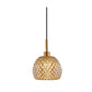 JS-GL-2708-1 AMB - Antique Brass & Black Metal Glass Hanging Light