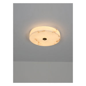 JS-GL-8540-C - Antique Brass Metal & Resin Led Ceiling Light