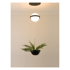 JS-GL-910-1 - Black Metal & Acrylic (With Planter) Glass Hanging Light