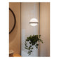 JS-GL-910-1 - Black Metal & Acrylic (With Planter) Glass Hanging Light