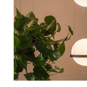 JS-GL-910-2 - Black Metal & Acrylic Glass Hanging Light