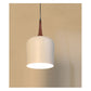JS-GL-FY036-CX - WHITE & DARK BROWN Metal Hanging Light
