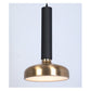 JS-GL-FY 044 - ANTIQUE BRASS & TEXTURE BLACK ACRYLIC Metal Hanging Light