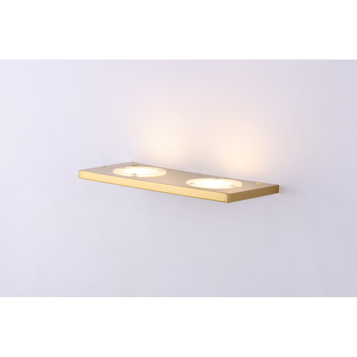 10201-2W Led Wall Light