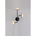 3591-3 Led Wall Light