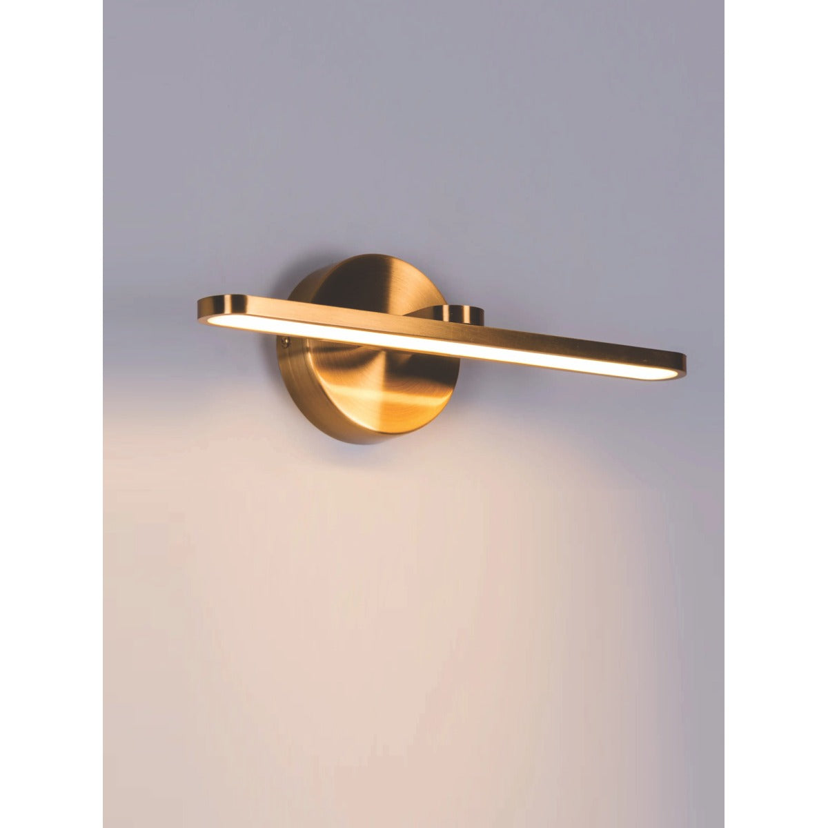 4202-450 Led Wall Light