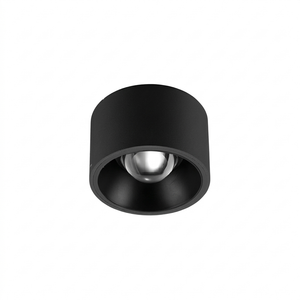 JS-GL_GOD-083_Surface ceiling spot_Black