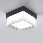 Eliante Outdoor Ceiling Light – Black-White, 12W (GOD-1224)
