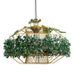 Eliante by Jainsons Lights | Black Iron Hanging Light | GRAIS-HL