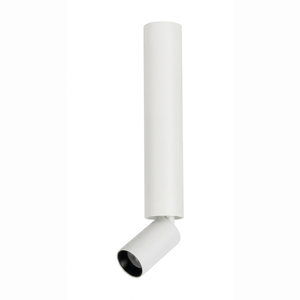 Eliante Surface Swivel Spotlight – White / Black, 12W (GS-805)