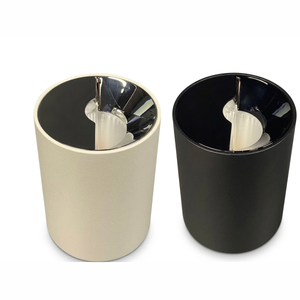 Eliante Wall Washer Light – White-Chrome, 12W (GS-822)