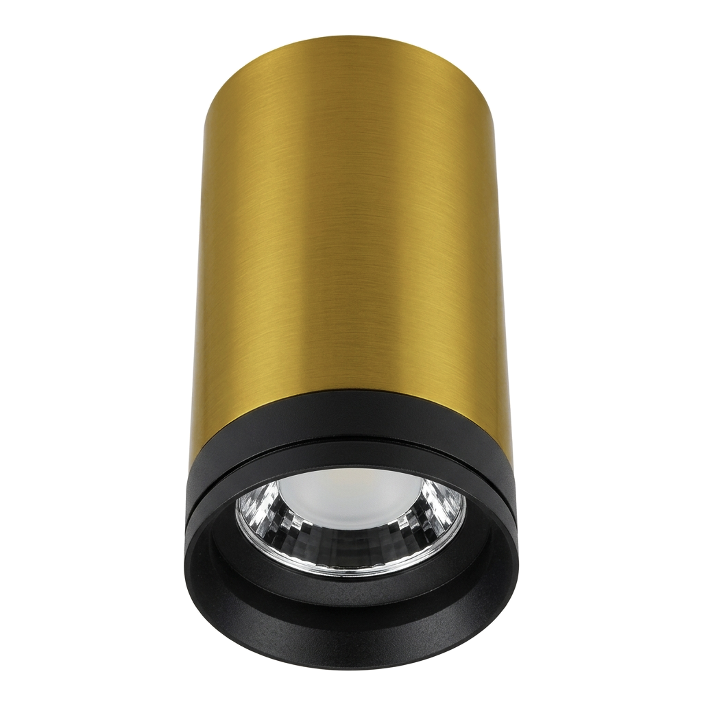 Eliante Surface Spotlight – Antique Brass-Black, 8W (GS-832)
