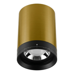 Eliante Surface Spotlight – Antique Brass-Black, 18W (GS-834)