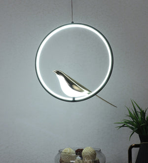 Eliante by Jainsons Lights-Modern Hanging Lights-HL-930-1LP-RD-Inbuilt LED