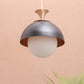JS-VP M-18-1LP Metal Hanging Lights 1xE27 Mild Steel & Glass Material Antique, Black & White Finish