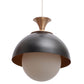 JS-VP M-18-1LP Metal Hanging Lights 1xE27 Mild Steel & Glass Material Antique, Black & White Finish