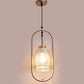 JS-VP M-210-1LP Glass Hanging Lights 1xE27 Mild Steel & Glass Material Gold & Smoky Black Finish