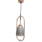JS-VP M-210-1LP Glass Hanging Lights 1xE27 Mild Steel & Glass Material Gold & Smoky Black Finish