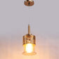 JS-VP M-214-1LP Glass Hanging Lights 1xE27 Mild Steel & Glass Material Gold & Champaign Finish